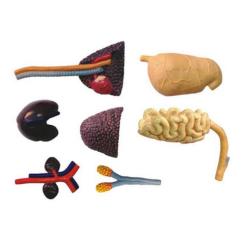 Пазл 4D Master Master Тиранозавр Фото 10