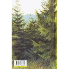 Книга Видавництво Старого Лева Велике коло - Меґґі Шіпстед Фото 1