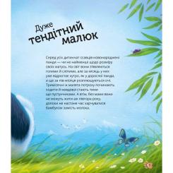 Книга Vivat Наймиліші малюки тварин - Алехандро Альґарра Фото 5