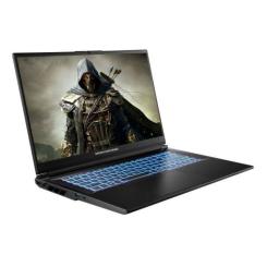 Ноутбук Dream Machines RG4060-17 Фото 1