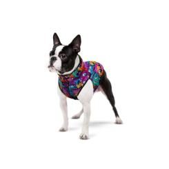 Курточка для животных WAUDOG Clothes Зубастые монстры S 35 Фото 2