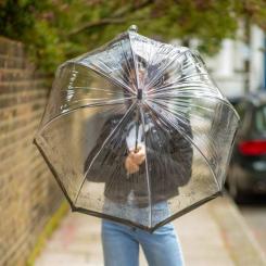 Зонт Fulton L042-041215 Birdcage-2 Cats Фото 3