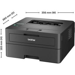 Лазерный принтер Brother HL-L2460DN Фото 3