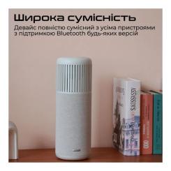 Акустическая система HiFuture Wedge Brown Фото 11