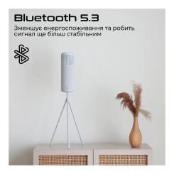 Акустическая система HiFuture Wedge Brown Фото 2