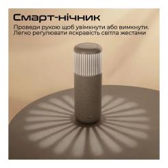 Акустическая система HiFuture Wedge Brown Фото 4