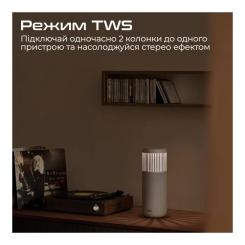 Акустическая система HiFuture Wedge Brown Фото 6