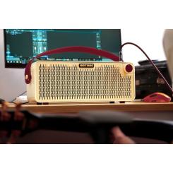 Комбоусилитель Hotone Audio Pulze Luna Фото 4