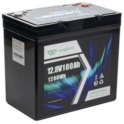 Батарея LiFePo4 Longttech 12.8V - 100Ah Фото 2