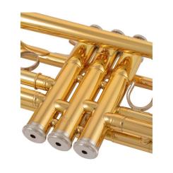 Труба Yamaha YTR-4435GII C/Bb Фото 8