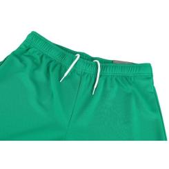Шорты Puma teamRISE Short 704942-05 зелений XXL Фото 9
