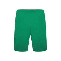 Шорты Puma teamRISE Short 704942-05 зелений XXL Фото 2
