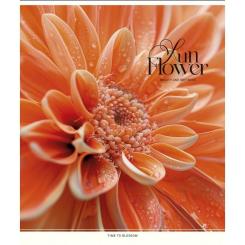 Тетрадь Школярик Sun Flower 60 листов клетка Фото