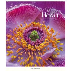 Тетрадь Школярик Sun Flower 60 листов клетка Фото 2