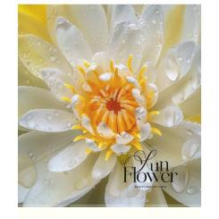 Тетрадь Школярик Sun Flower 60 листов клетка Фото 3