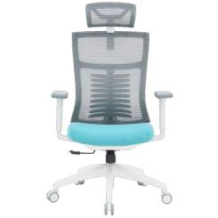 Офисное кресло OfficePro Balance OC550-W-DG-BL Фото 1