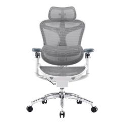 Офисное кресло Sihoo DORO C300 Pro Mesh White Фото