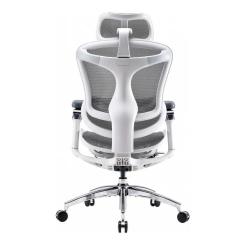 Офисное кресло Sihoo DORO C300 Pro Mesh White Фото 1