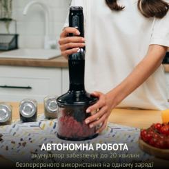 Блендер QUIN RHB-301 Фото 1