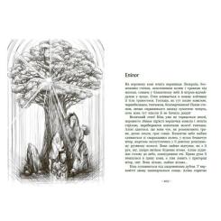 Книга Readberry Гонихмарник - Дара Корній Фото 2