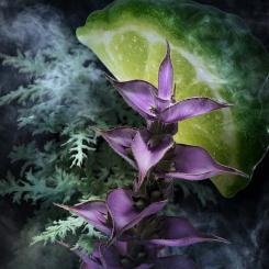 Туалетная вода Davidoff Champion 90 мл Фото 4