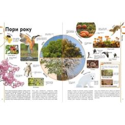 Книга Ранок Енциклопедія про все. Наш світ у малюнках Фото 9
