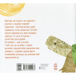 Книга Ранок Куди поділася черепаха - Наталія Чуб Фото 1