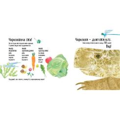 Книга Ранок Куди поділася черепаха - Наталія Чуб Фото 2