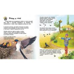 Книга Ранок Птахи. Енциклопедія дошкільника - Юлія Каспарова Фото 2