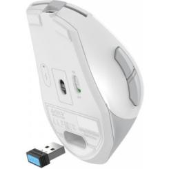 Мышка A4Tech FG35C Plus Wireless White Фото 9