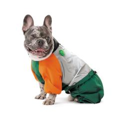 Дождевик для животных Pet Fashion Marlie S Фото 3