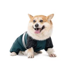 Комбинезон для животных Pet Fashion Den S (такса) Фото 2