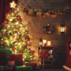 Таймер-розетка EMOS P5523N Фото 7