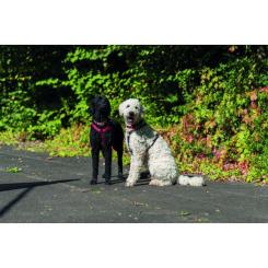 Шлей для собак Trixie Premium S-M красная Фото 1