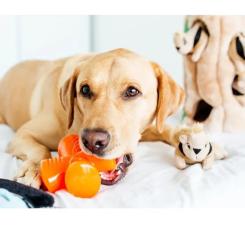 Игрушка для собак Bionic Стаффер оранжевый 12.5 см Фото 2