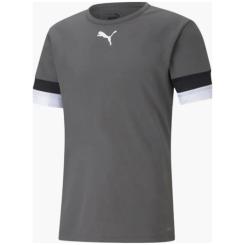 Футболка Puma teamRISE Jersey 704932-13 сірий L Фото