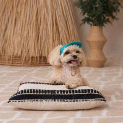 Кепка для животных Pet Fashion Topaz ХL Фото 5