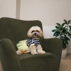 Платье для животных Pet Fashion Liana S Фото 3