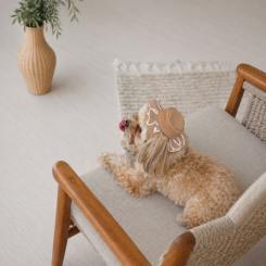 Кепка для животных Pet Fashion Print М Фото 4