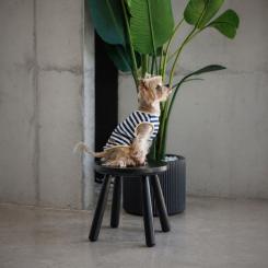 Футболка для животных Pet Fashion Tropic S Фото 4