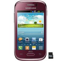 Мобильный телефон Samsung GT-S6312 (Galaxy Young) Wine Red Фото