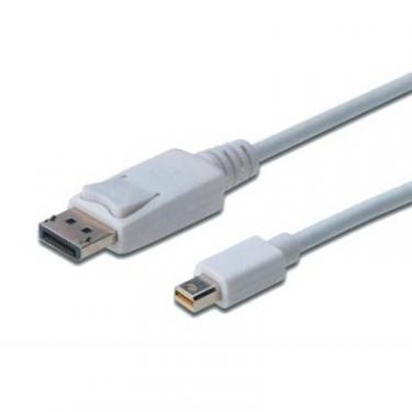 Кабель мультимедийный Digitus miniDisplayPort to DisplayPort 2.0m Фото