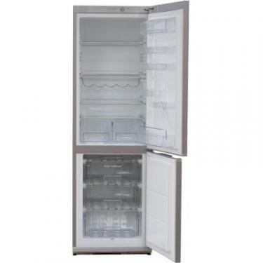 Холодильник Snaige RF34SM-S1MA21 Фото 1