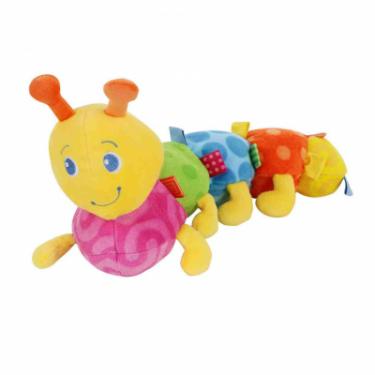 Развивающая игрушка Kids II Цветная гусеница, мягкая Фото