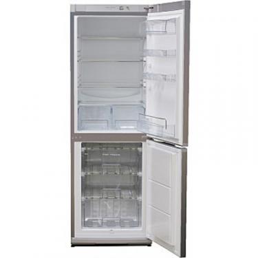 Холодильник Snaige RF31SM-S1CI21 Фото 1