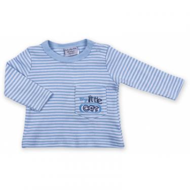 Набор детской одежды Luvena Fortuna велюровый голубой c капюшоном Фото 1