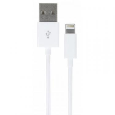 Дата кабель Kit USB 2.0 AM to Lightning 1.0m Фото