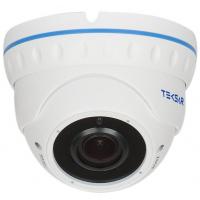 Камера видеонаблюдения Tecsar AHDD-30V5M-out Фото 1