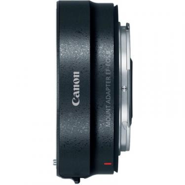 Цифровой фотоаппарат Canon EOS R RF 24-105L kit + адаптер EF-RF Фото 8