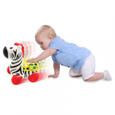 Развивающая игрушка Kiddieland Веселая зебра на колесах Фото 1